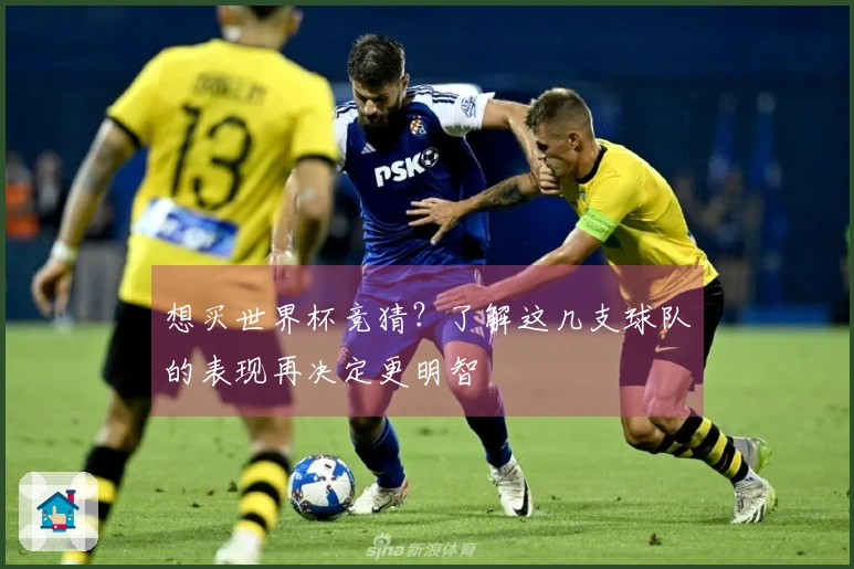 想买世界杯竞猜？了解这几支球队的表现再决定更明智