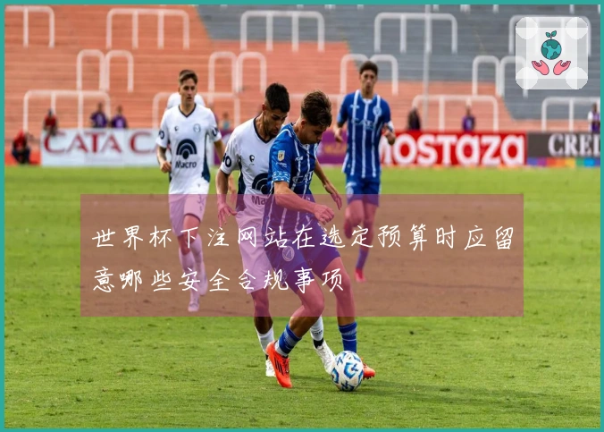 世界杯下注网站在选定预算时应留意哪些安全合规事项