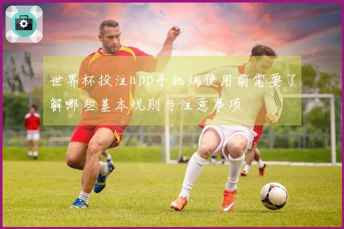 世界杯投注app手机端使用前需要了解哪些基本规则与注意事项