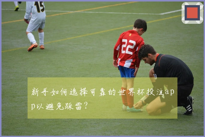 新手如何选择可靠的世界杯投注app以避免踩雷？