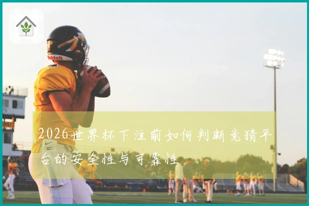 2026世界杯下注前如何判断竞猜平台的安全性与可靠性
