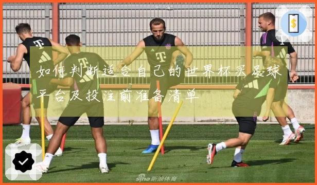 如何判断适合自己的世界杯买足球平台及投注前准备清单