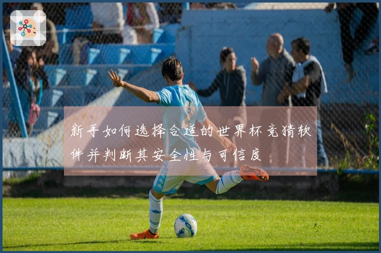 新手如何选择合适的世界杯竞猜软件并判断其安全性与可信度