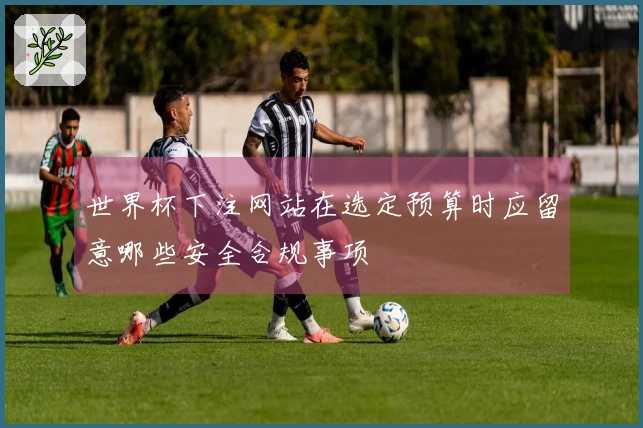 世界杯下注网站在选定预算时应留意哪些安全合规事项