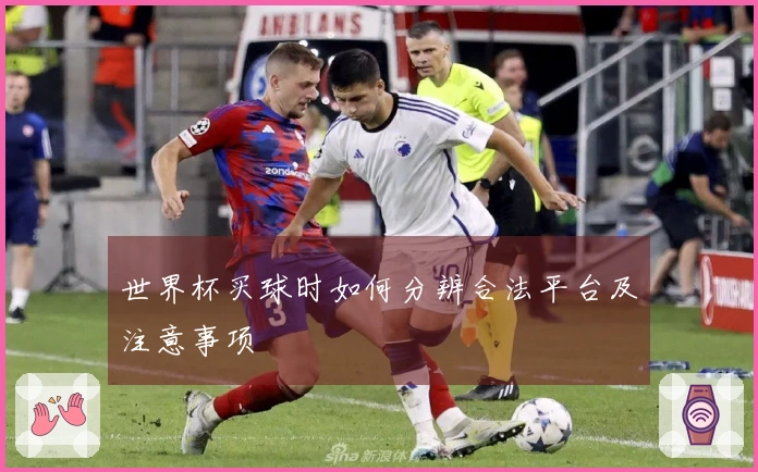 世界杯买球时如何分辨合法平台及注意事项
