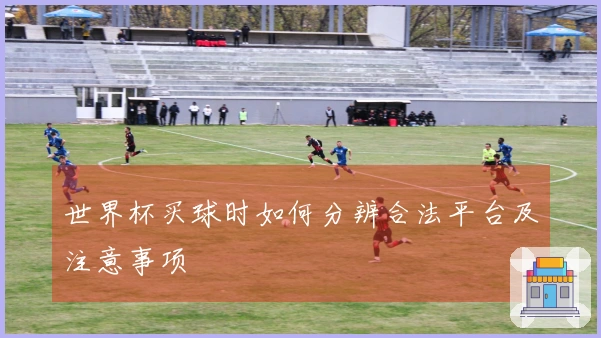 世界杯买球时如何分辨合法平台及注意事项